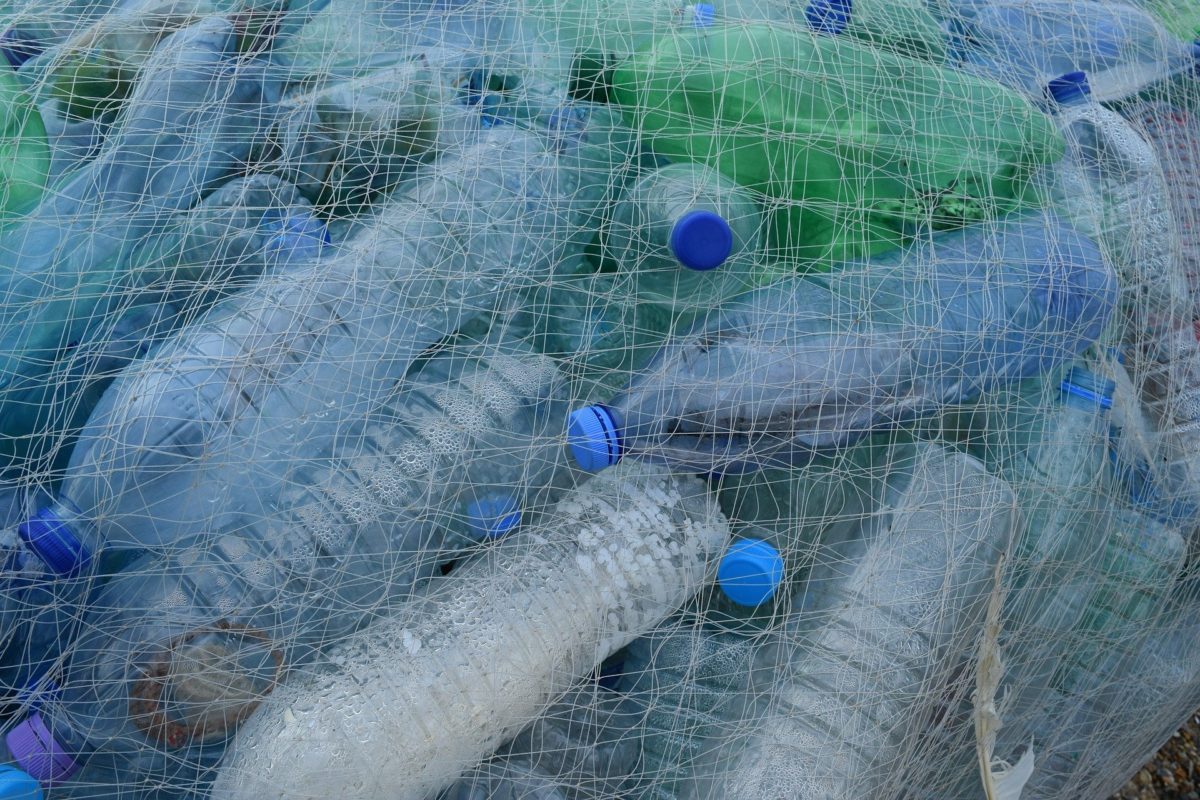 Plastic bottles and net